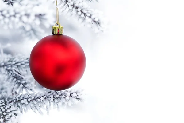 Christmas decorations on the pine branch — Stock Photo, Image