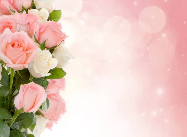 Roses to wedding day. — Stock Photo, Image