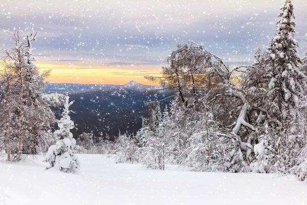 Inverno in montagna — Foto Stock