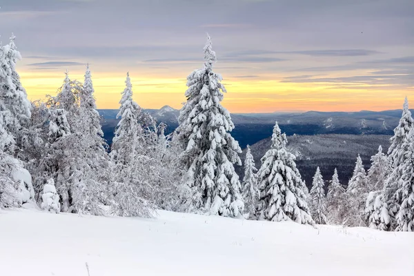 Winter in de bergen — Gratis stockfoto