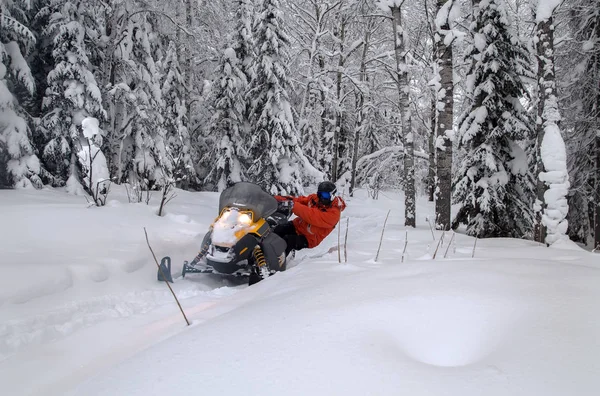 Atleta en una moto de nieve —  Fotos de Stock