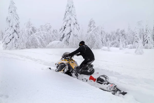 Kar motosikletinde bir atlet — Stok fotoğraf