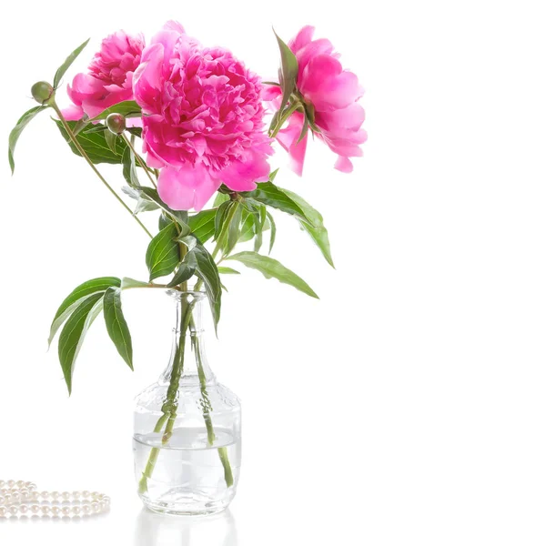 Bouquet di peonie rosa — Foto Stock