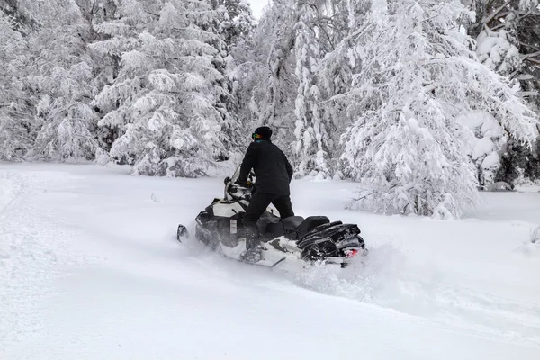 Atleta en una moto de nieve —  Fotos de Stock