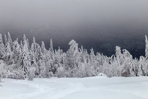 Winter in de bergen — Stockfoto