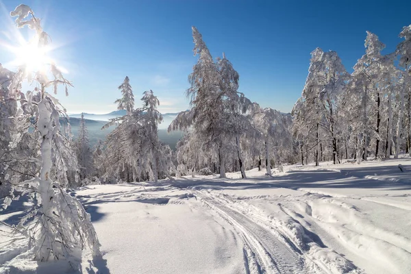 Winter in the mountains — Stock Photo, Image