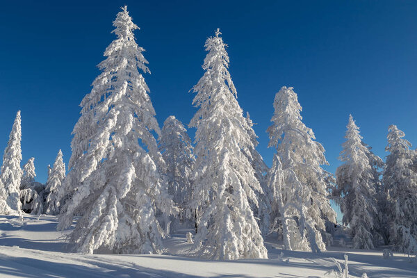 Winter in the mountains — Stock Image Winter in the mountains — Stock Photo, Image
