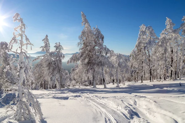 Winter in de bergen — Gratis stockfoto