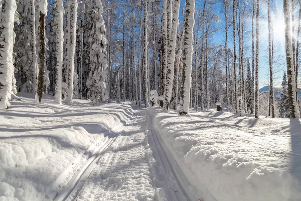 Inverno in montagna — Foto Stock