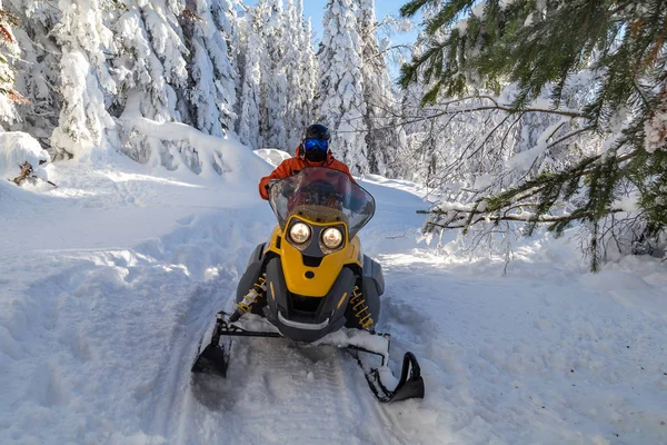 Atleta em uma moto de neve — Fotografia de Stock