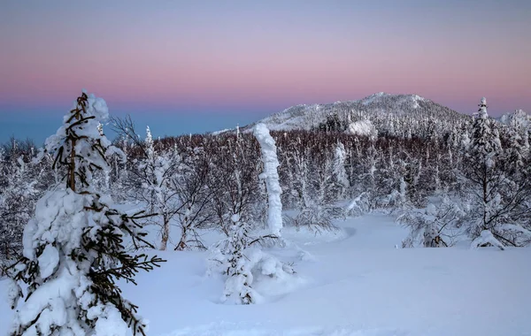 Inverno in montagna — Foto Stock