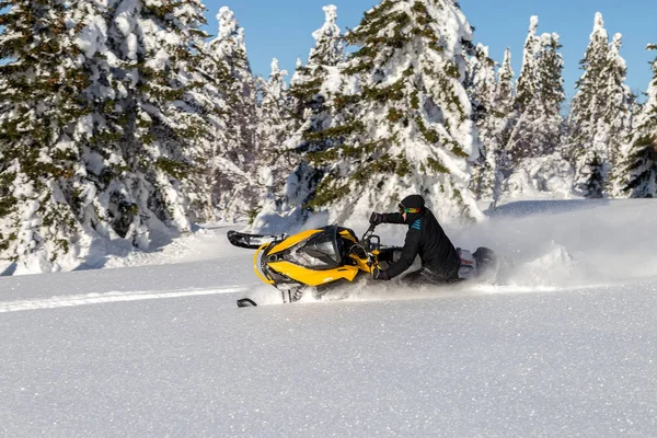 Atleta en una moto de nieve —  Fotos de Stock