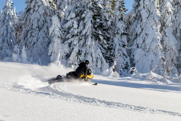 Idrottare på snöskoter — Stockfoto