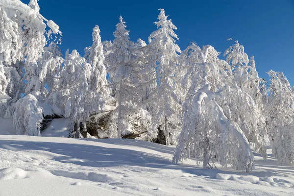 Winter in the mountains — Stock Photo, Image