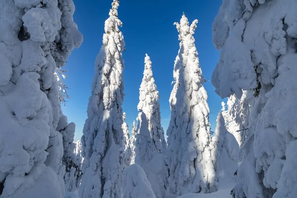 Invierno en las montañas — Foto de Stock