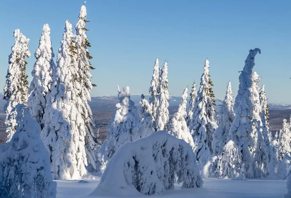 Winter in the mountains — Stock Photo, Image