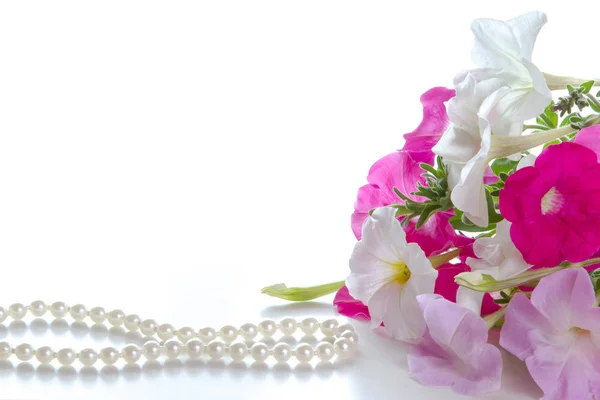 Bouquet di petunie rosa — Foto Stock