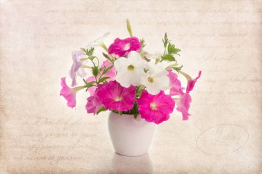 buket pembe petunyaların