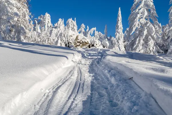 Inverno in montagna — Foto Stock