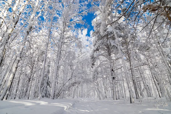 Invierno en las montañas — Foto de Stock