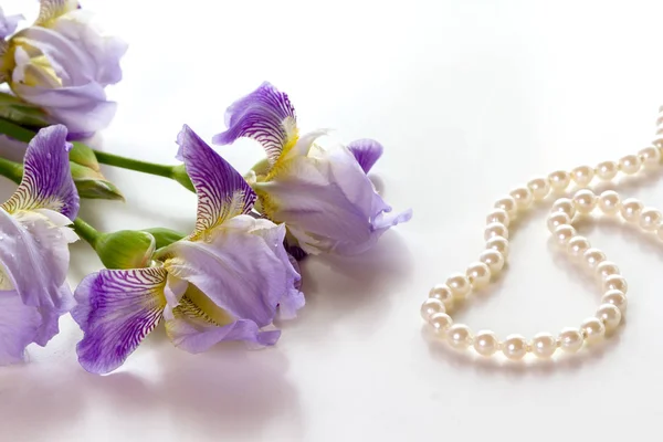 Flores iris y perlas . — Foto de Stock