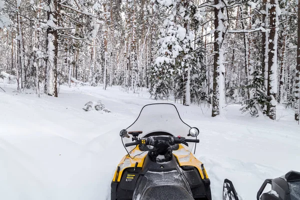 Snowmobile di hutan — Stok Foto