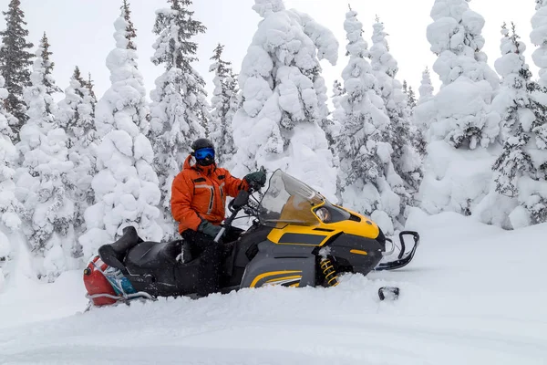 Atleta en una moto de nieve —  Fotos de Stock