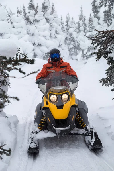 Atleta en una moto de nieve —  Fotos de Stock