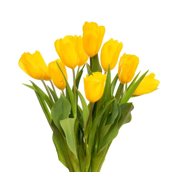 春チューリップの花束 — ストック写真