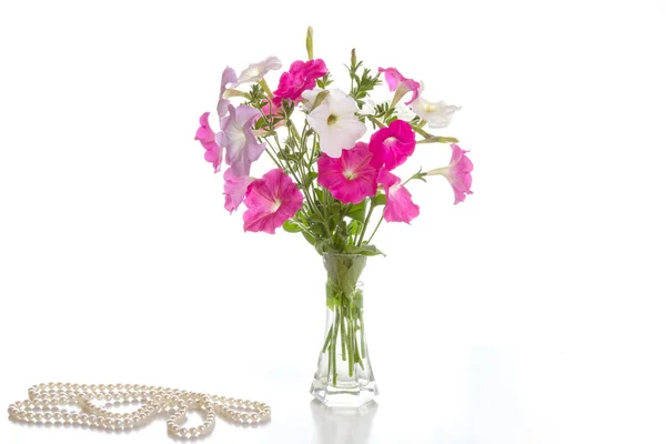 ピンク ペチュニアの花束 — ストック写真