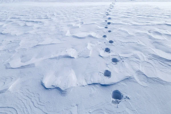 Urme de pași în zăpadă — Fotografie, imagine de stoc