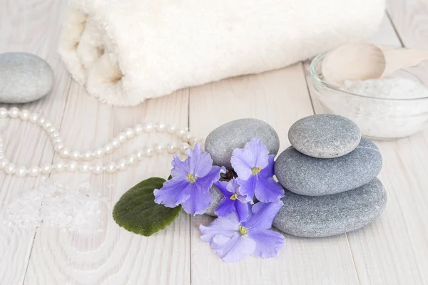 Picture with stones and violets. — Stock Photo, Image