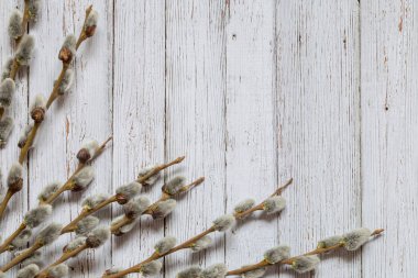 Bir söğüt ile görüntü.