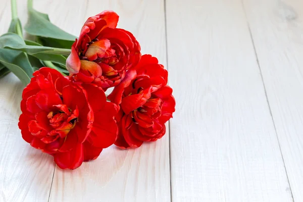 Obraz z tulipany — Zdjęcie stockowe