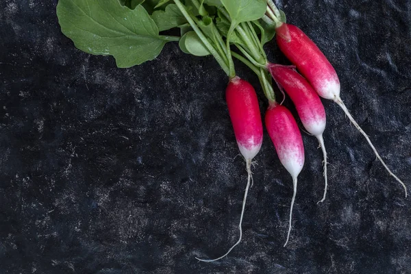 Image with radishes — Stock Photo, Image