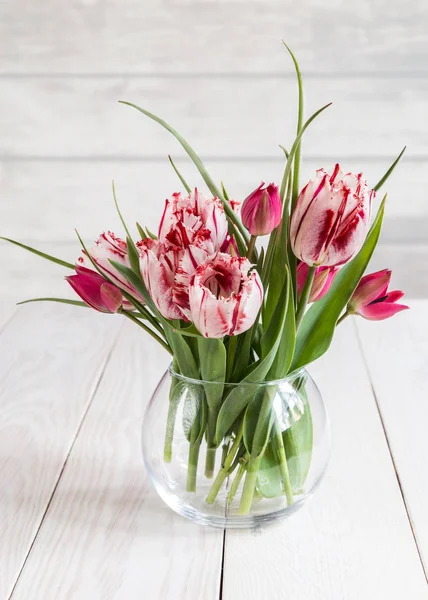 Obraz z tulipany — Zdjęcie stockowe