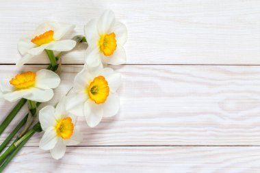 Nergis ile görüntü.