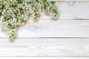 Leylak tüm dalları görüntüsünü.