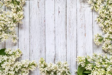 Leylak tüm dalları görüntüsünü.