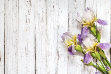 Iris ile görüntü.