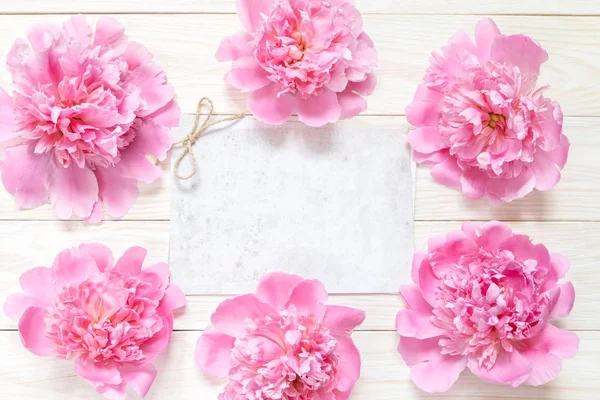 Picture with peonies — Stock Photo, Image