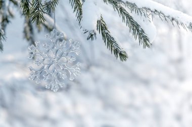 Cam kar tanesi bir Noel ağacı üzerinde.