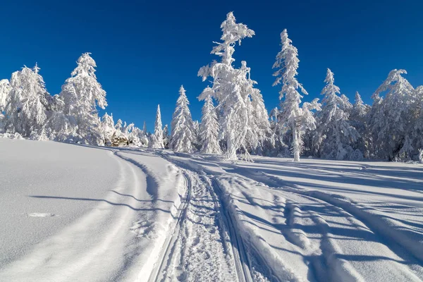 Iarna în munți — Fotografie, imagine de stoc
