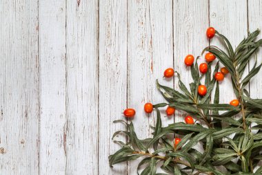 Deniz topalak resimle.