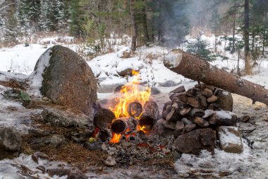 Bir yangın ile görüntü.