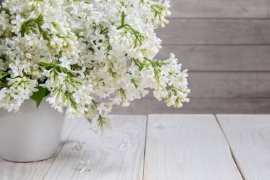 Leylak tüm dalları görüntüsünü.