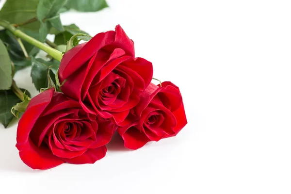 Üç kırmızı gül.