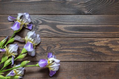 Iris ile görüntü.