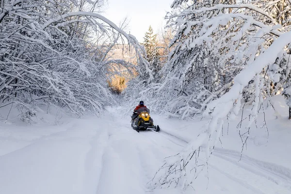 Idrottare på snöskoter. — Stockfoto