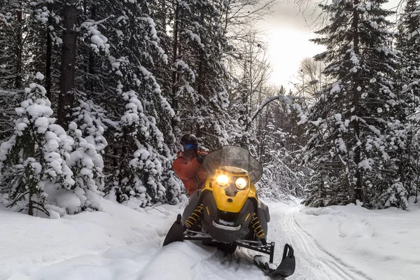 Kar motosikletinde bir atlet. — Stok fotoğraf